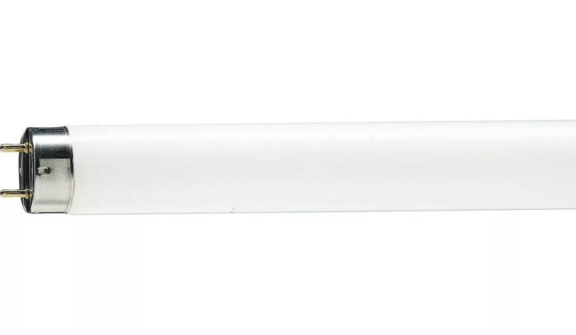 PHILIPS MASTER TL-D Reflex 36W świetlówka 120cm