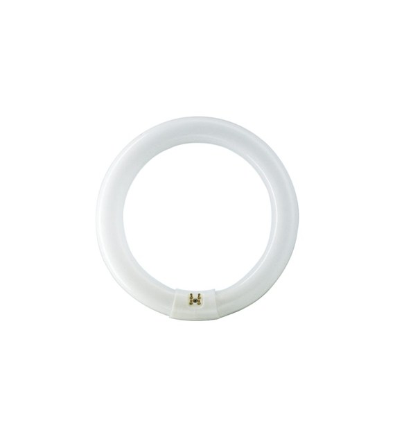 PHILIPS TL-E 40W/840 1CT/12 świetlówka 40cm