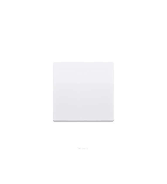 SIMON BASIC MODUŁ Klawisz I PL-809-1/12