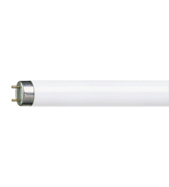 PHILIPS PILA LEDtube świetlówka 8W G13 6500K 60cm