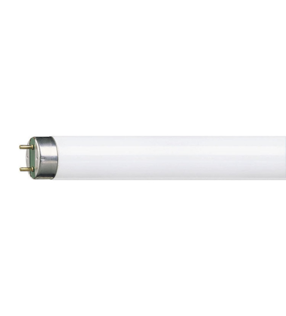 PHILIPS PILA LEDtube świetlówka 8W G13 6500K 60cm